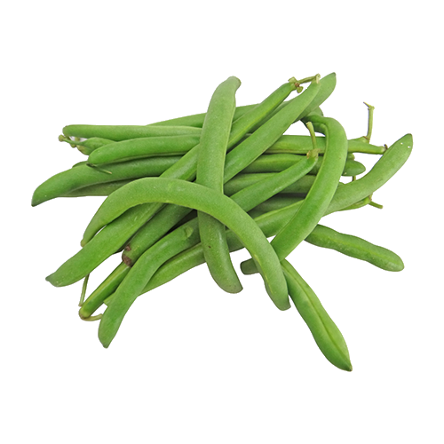 Haricots Sandy