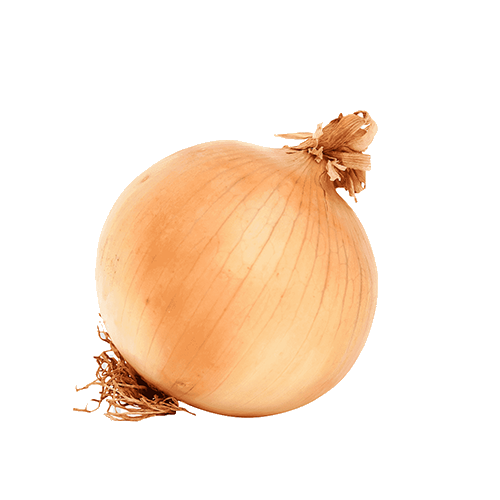 Oignons Sandy