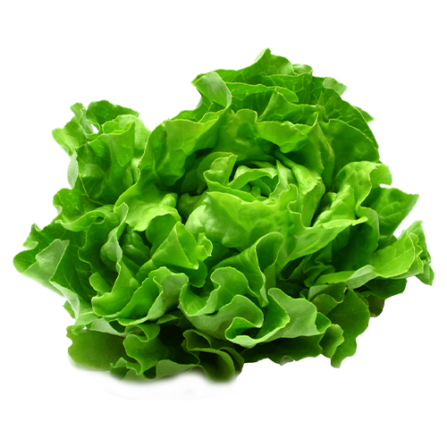 Salade Sandy