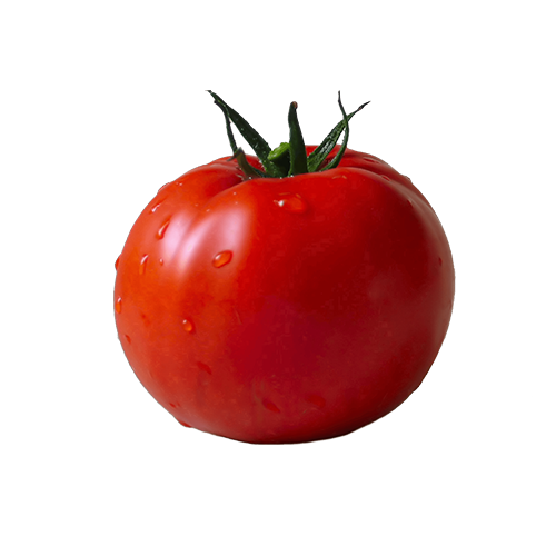 Tomate Sandy